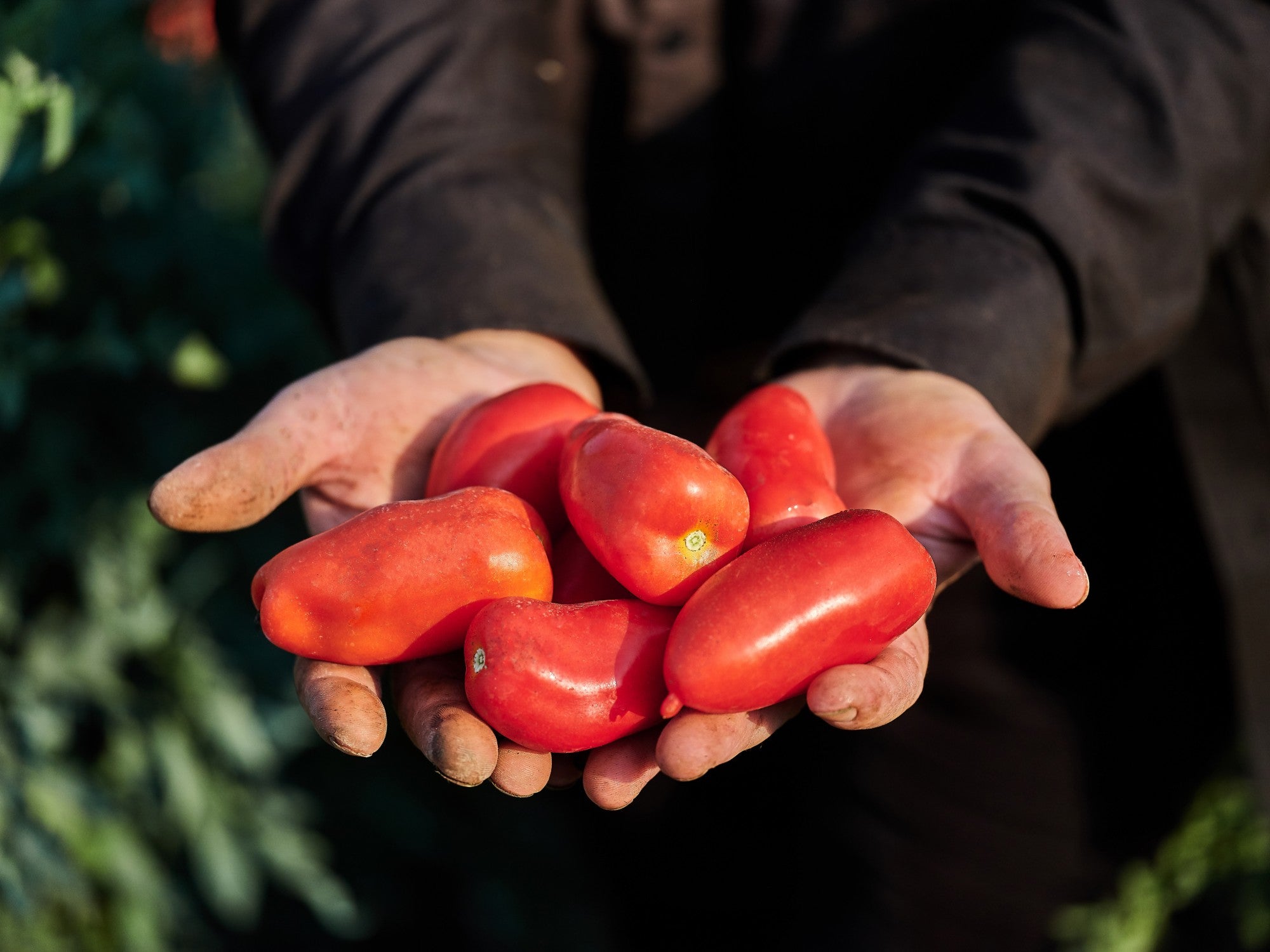 Fileuri de roșii San Marzano, 300 gr Casa Marrazzo