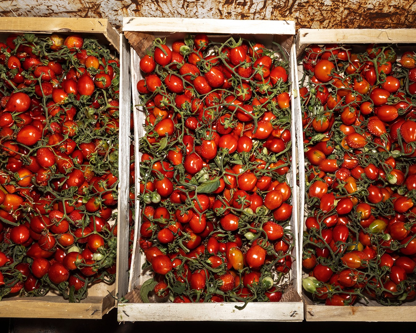 Piure de rosii Pomodorino del Piennolo del Vesuvio DOP, 310gr Casa Marrazzo