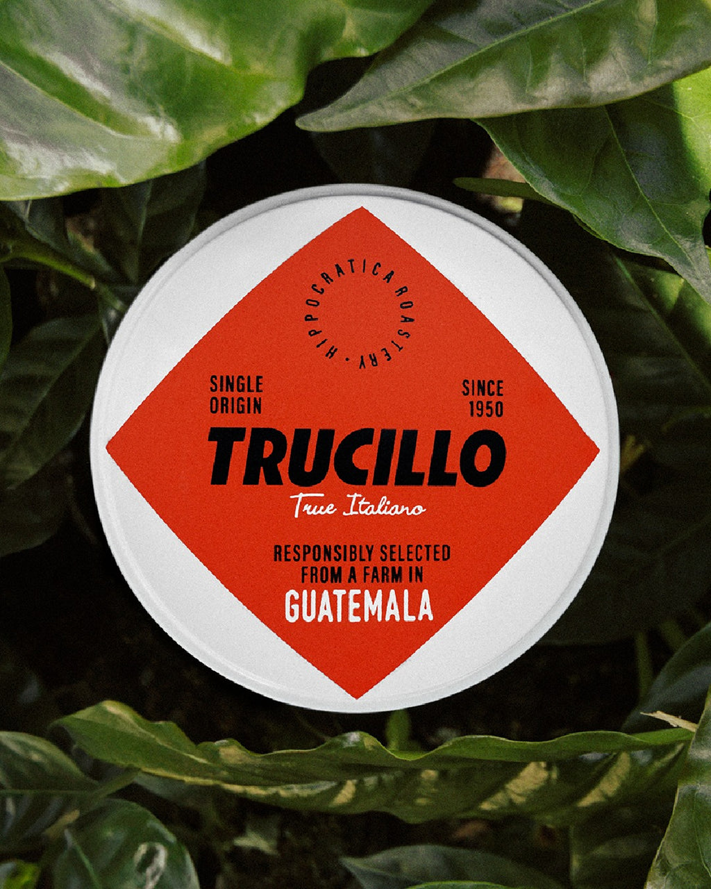 Cafea boabe TRUCILLO, Ecstatic Special Guatemala -  250gr Trucillo