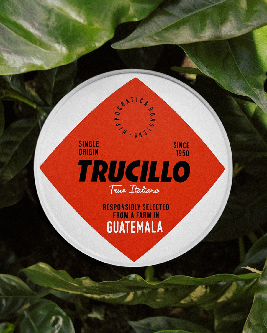 Cafea boabe TRUCILLO, Ecstatic Special Guatemala -  250gr Trucillo