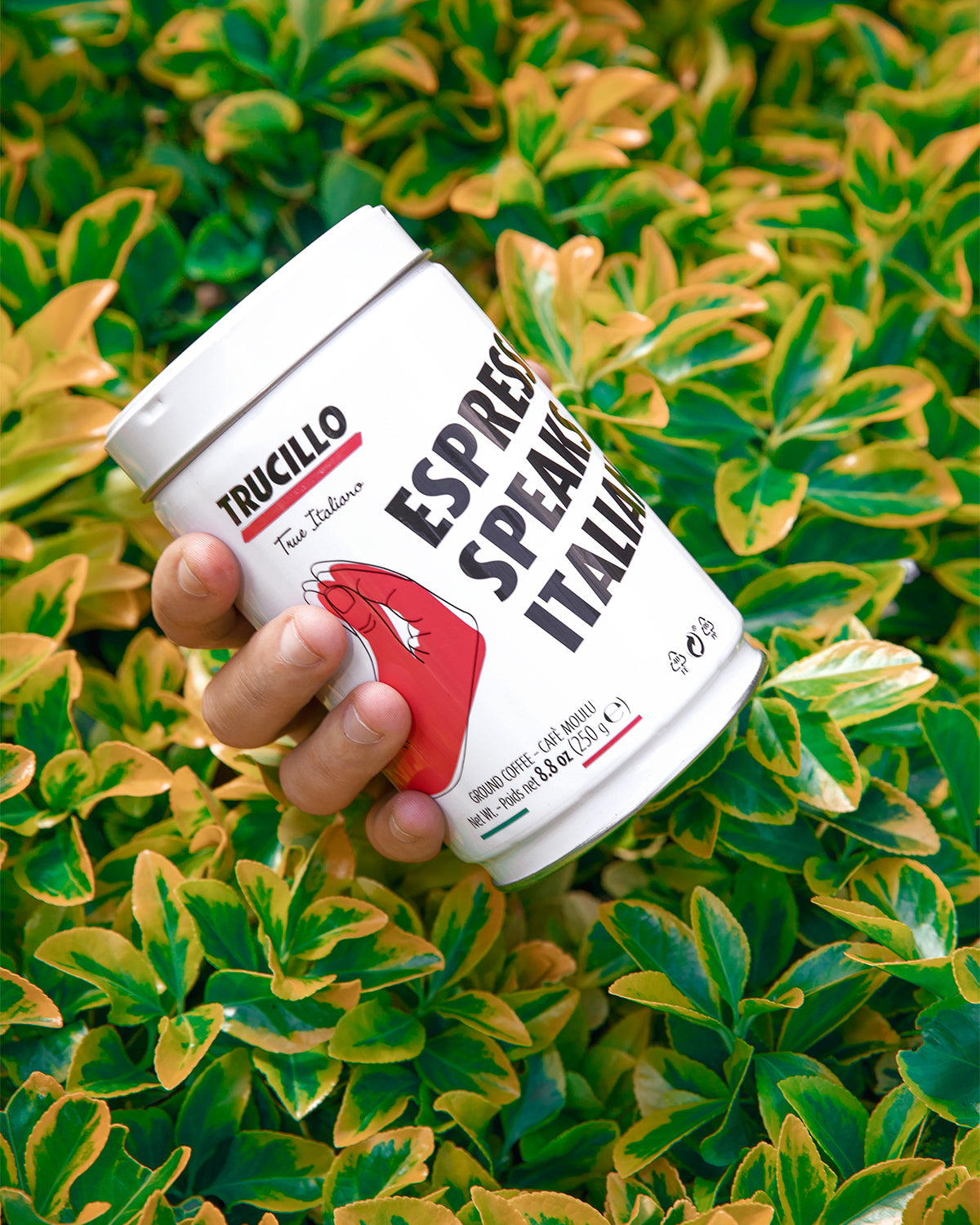 Cafea boabe TRUCILLO, Expresso Speaks Italian - 250gr TRUCILLO