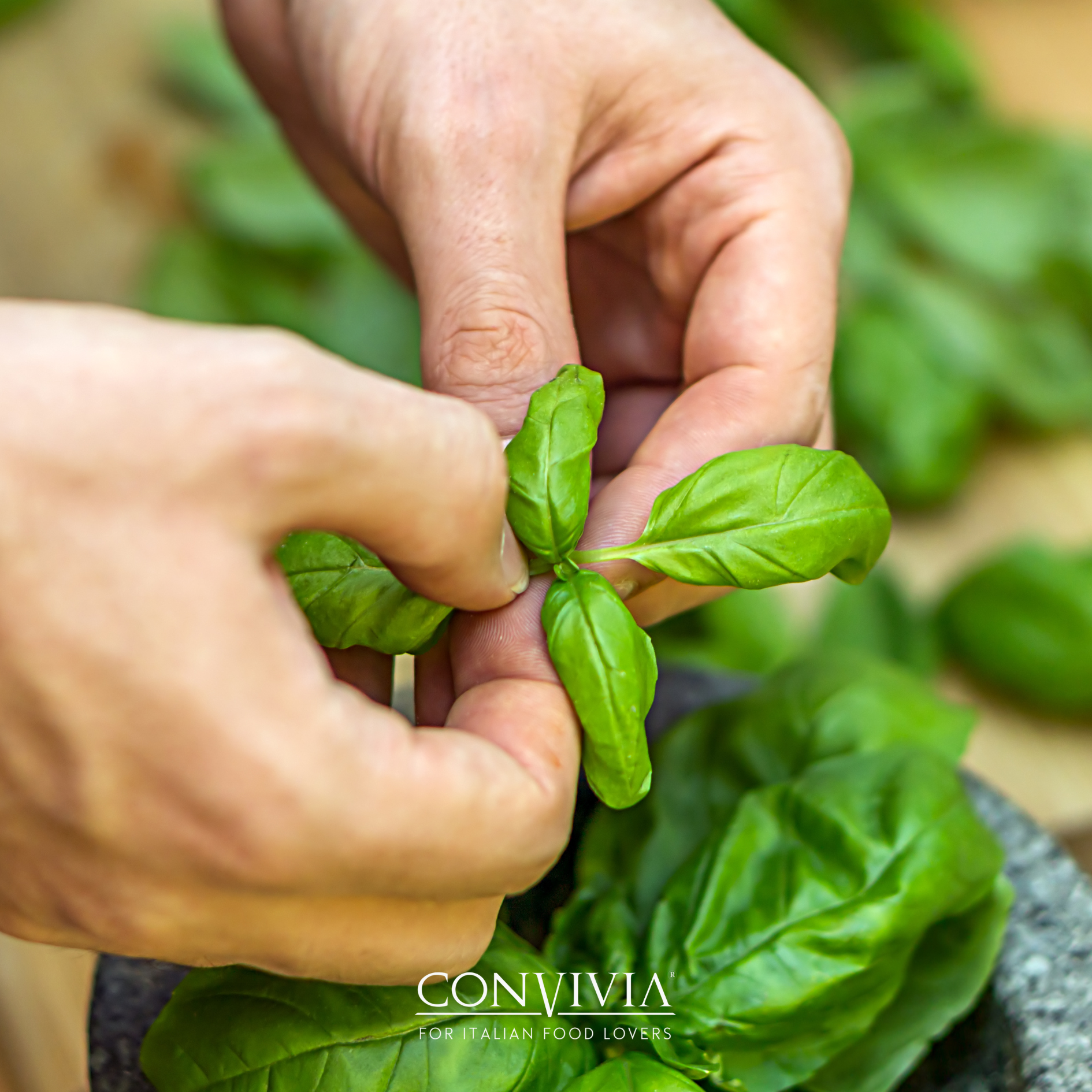 Pesto organic cu busuioc sicilian, 190gr Convivia