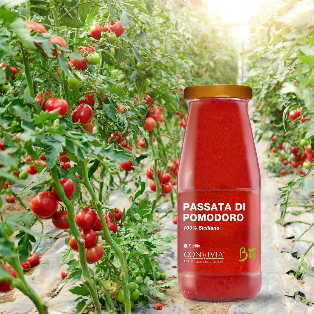 Piure de roșii organic, 420gr  Convivia