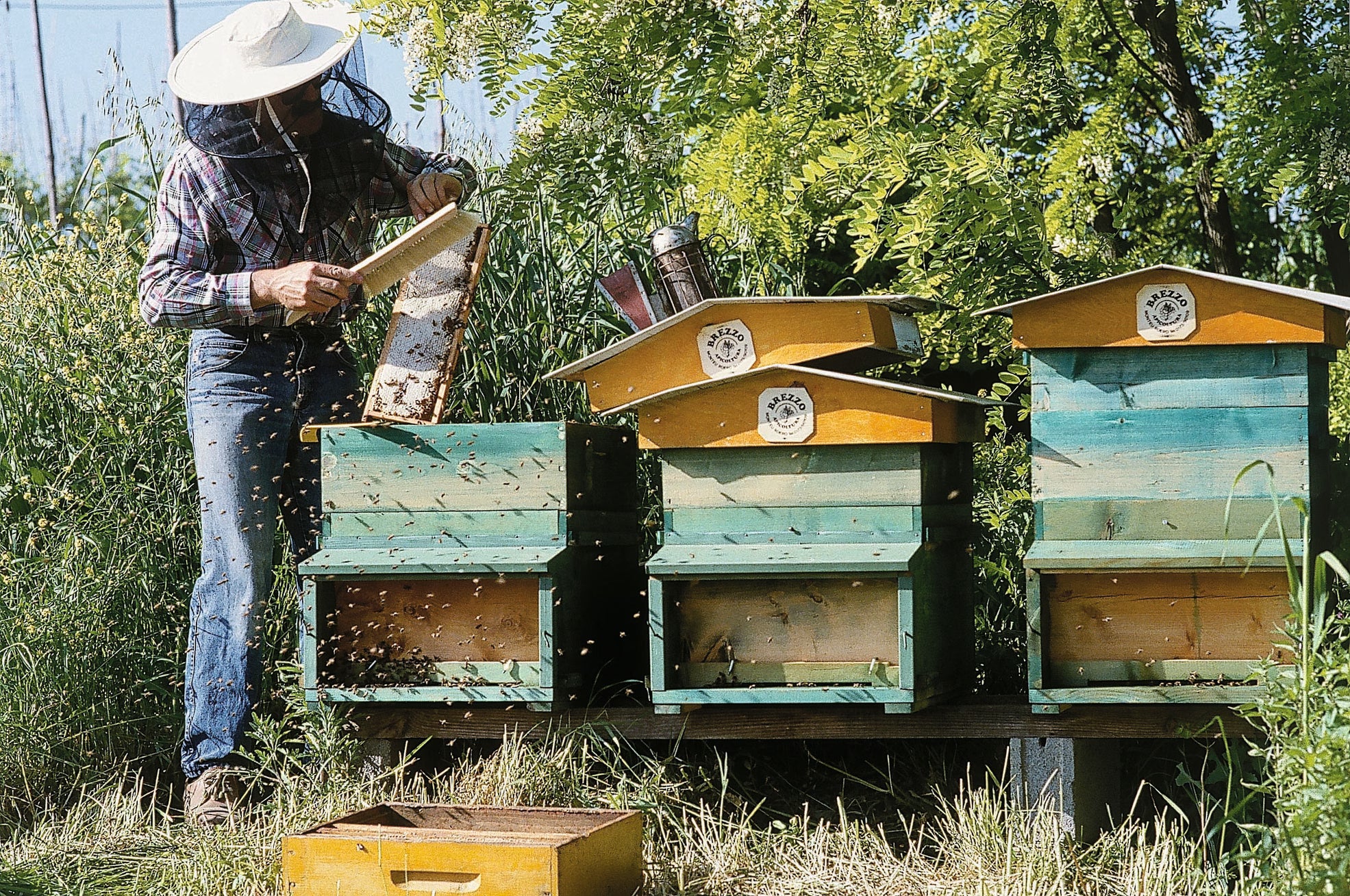 Cremă de brânză cu trufe de vară - 190gr Apicoltura Brezzo