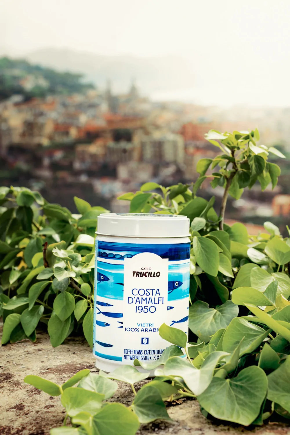 Cafea boabe TRUCILLO, Coasta D'Amalfi 1950 Vietri – 100% arabic - 250gr TRUCILLO