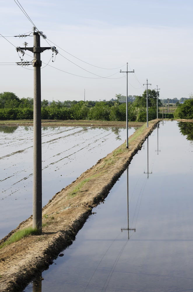 Mix pentru risotto cu radichi, 215gr La Balocchina