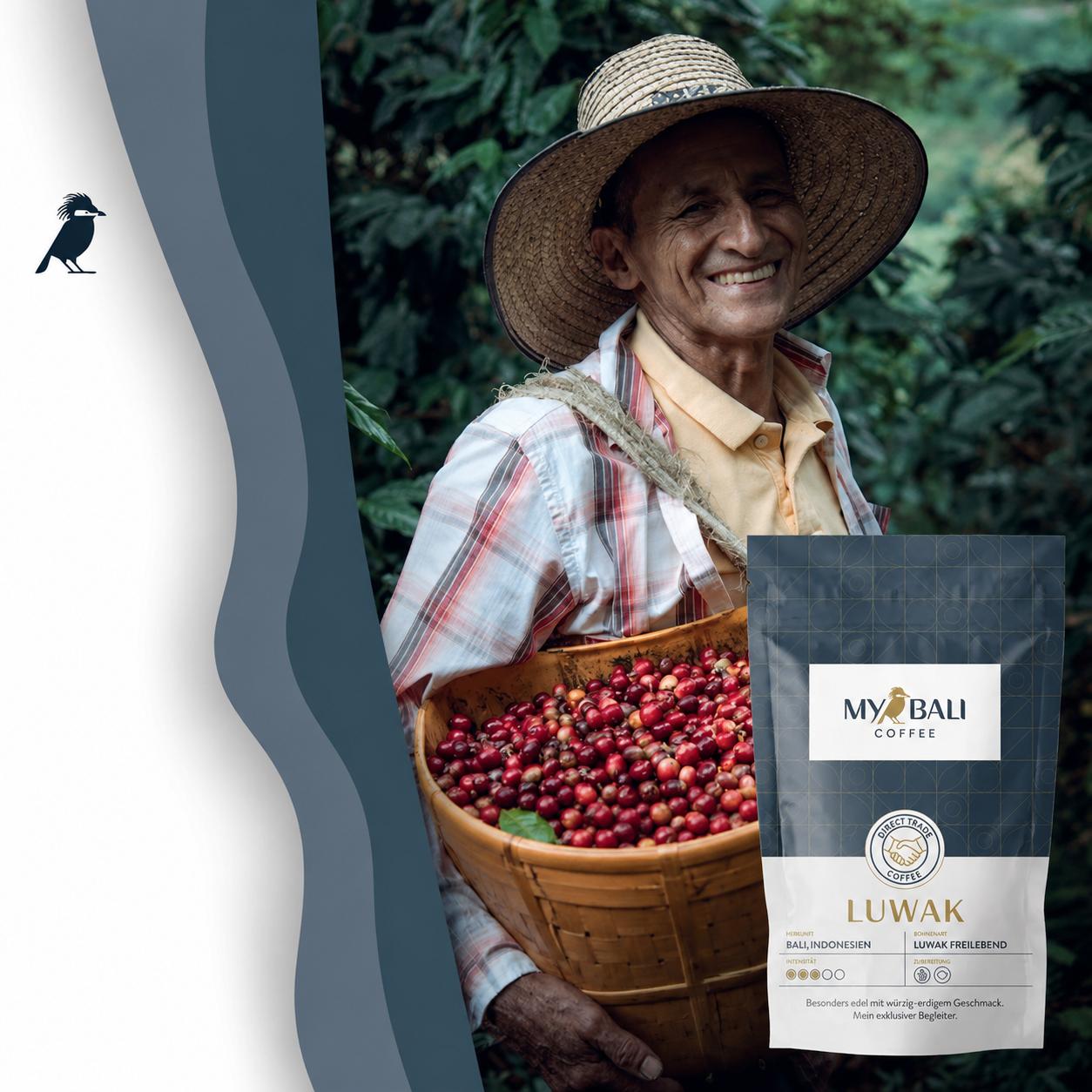 Luwak Cafea Premium pentru Cunoscători, 100gr MYBALI