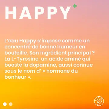 Ape carbogazoase funcționale Happy din Alpi, 470ml Drink Water