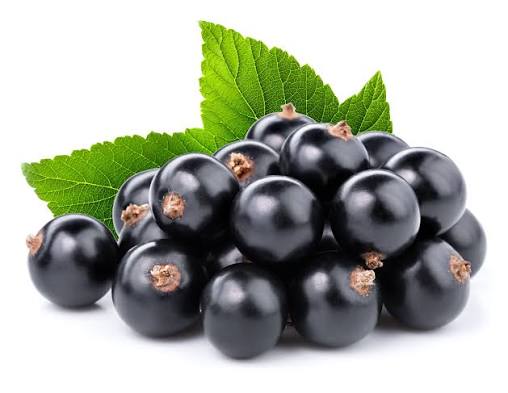 Suc de coacaze si pere, 330ml Livada Domniței