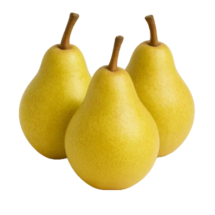 Suc de coacaze si pere, 330ml Livada Domniței